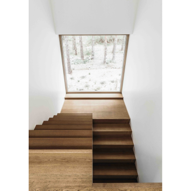 Ilustrační foto Ilustrační foto