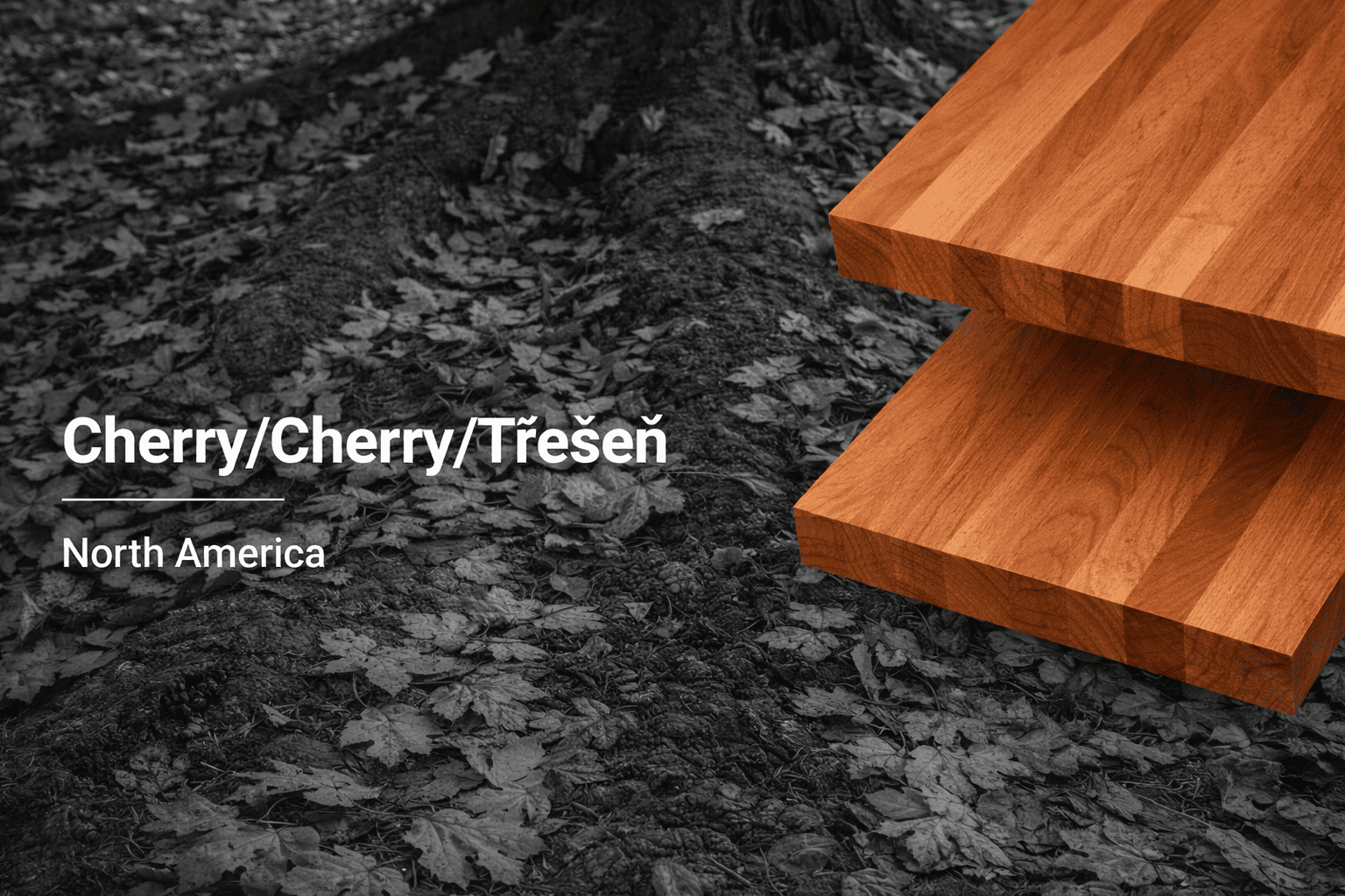 Třešňové dřevo